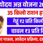Antyodaya Anna Yojana 2026 (AAY) Benefits
